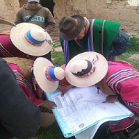 Indigenous Autonomy, Leadership and Local Political Conflict in Highland Bolivia