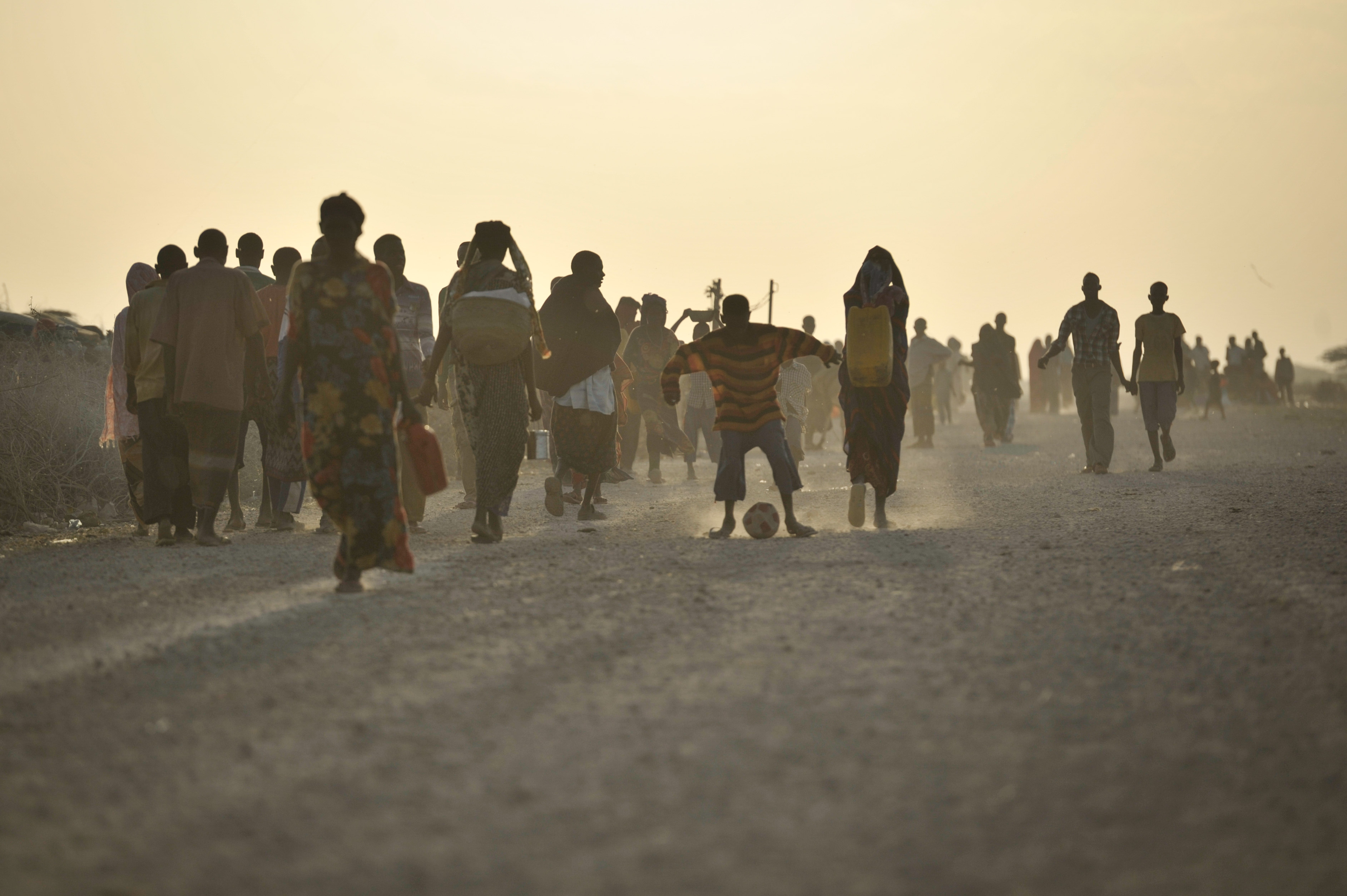 RLI Special Workshop: ‘Revitalising IDP Research’