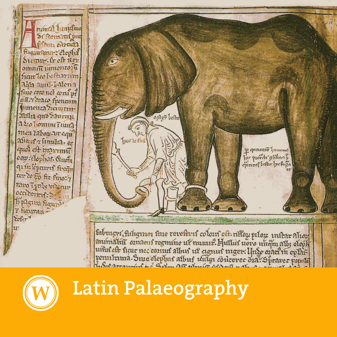Latin Palaeography (Summer Vacation Extension 2021)