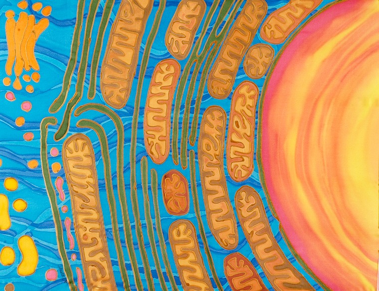 CfP: Contemporary Womxn’s Writing and the Medical Humanities: 2021 Conference