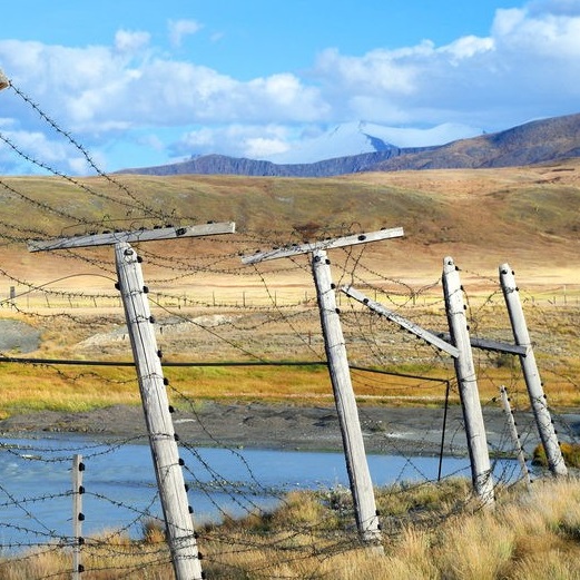 Crossing Borders with Books: Writing & Publishing Poetry Translation