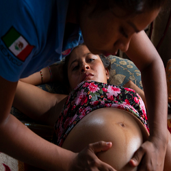 The Cultural Politics of Reproduction in Latin America