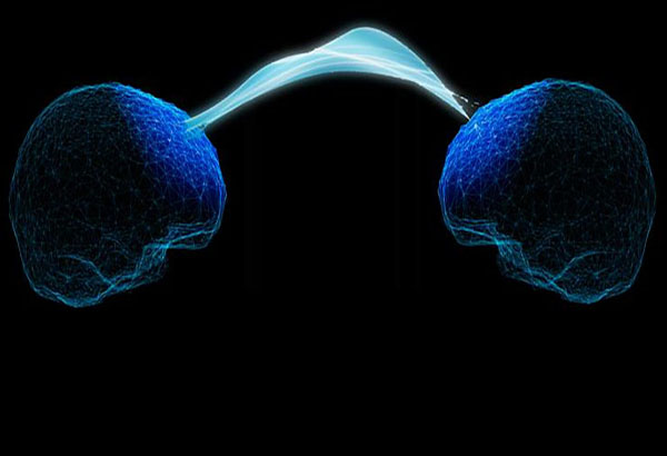 The Neural Basis of Real-World Social Interaction